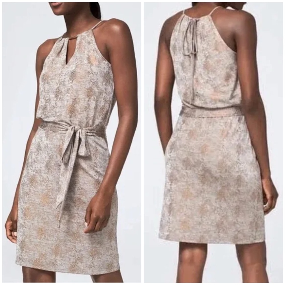 White House Black Market Keyhole Neck Blouson Mini Dress In Snake Bronze Foil L